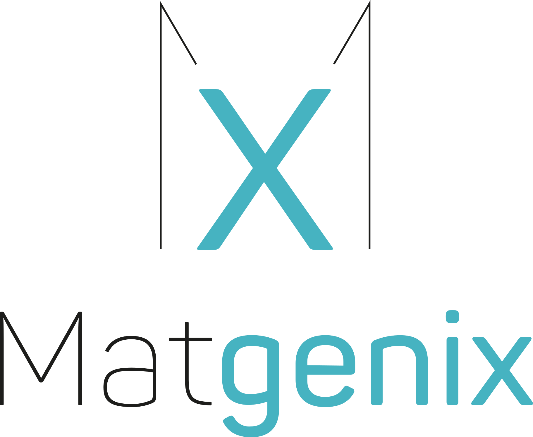 Matgenix